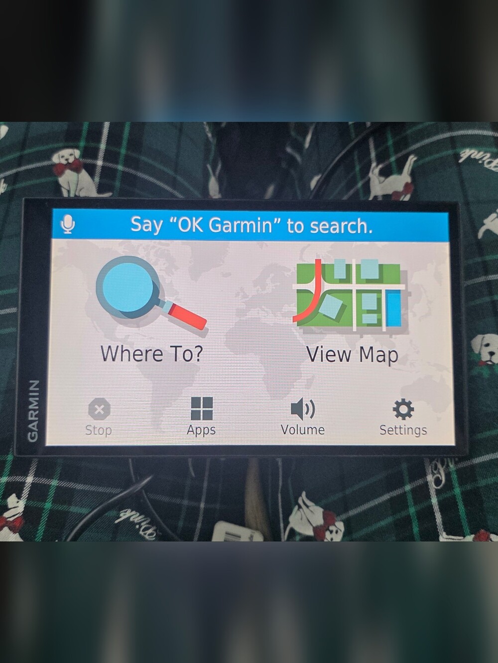 Garmin GPS